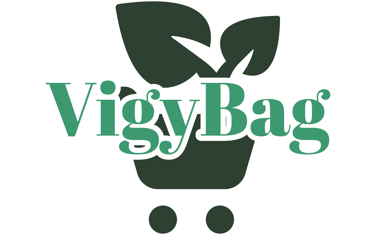 VigyBag Logo